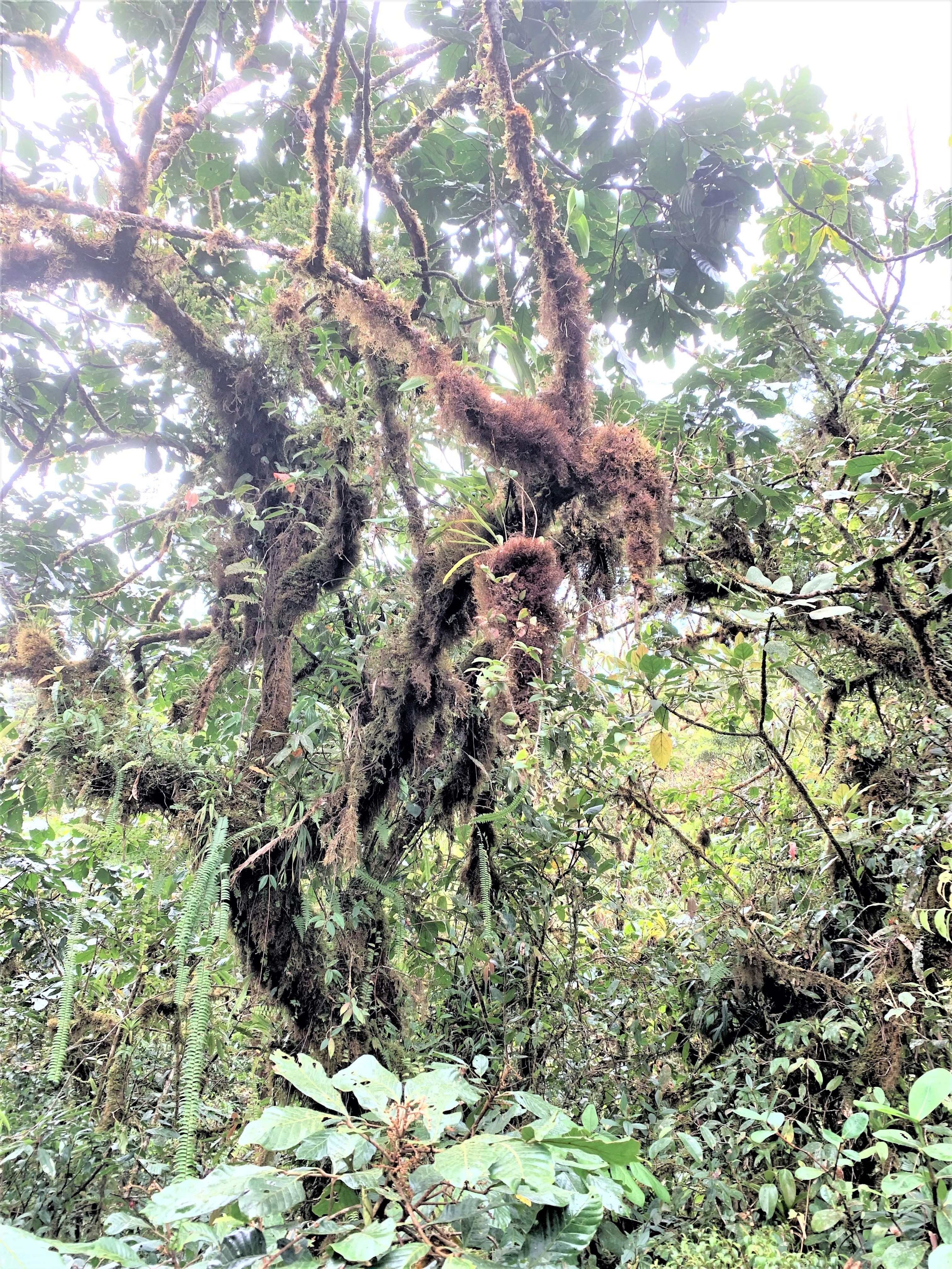 Costa Rica